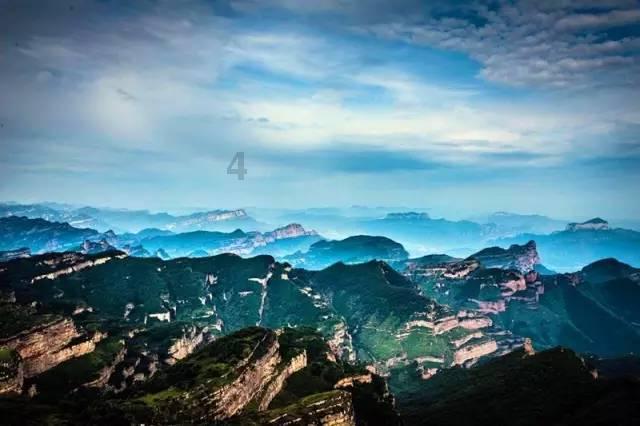 你喜欢喝白茶吗？游戏画面