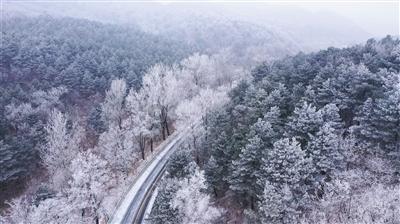 独狼逃跑